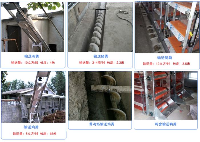 養殖場(chǎng)螺旋輸送機應用